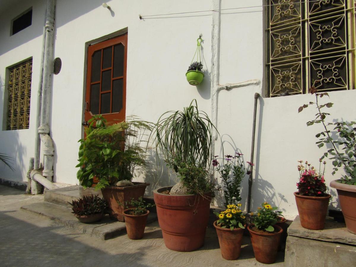Nadya Homestay For Female&family Jaipur Luaran gambar